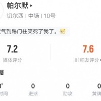 帕尔默本场数据：传球成功率100%+3关键传球1造良机 8对抗3成功